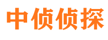 平南市侦探调查公司